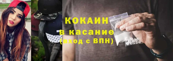 сатива Арсеньев