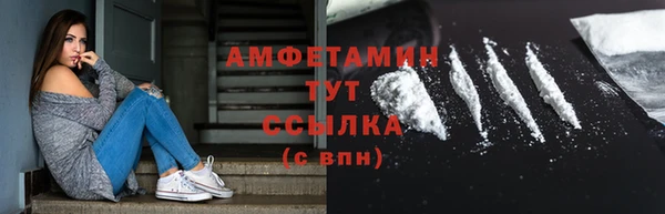 гидра Аркадак