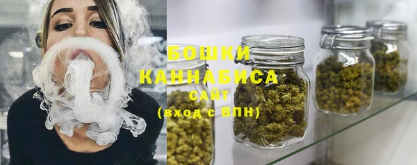сатива Арсеньев