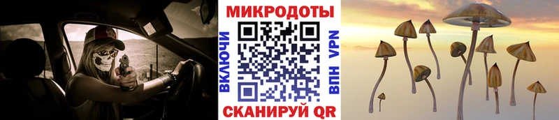 Галлюциногенные грибы Psilocybe  Сельцо 